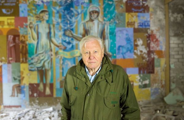 David Attenborough filmjét vetítették a fiúkollégiumban a fenntarthatósági témahéten 